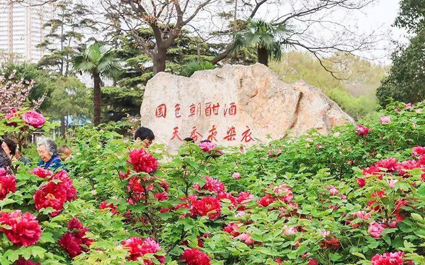 &#22810;&#23453;&#24179;&#21488;&#32593;&#39029;&#29256;&#30331;&#24405;&#20837;&#21475;