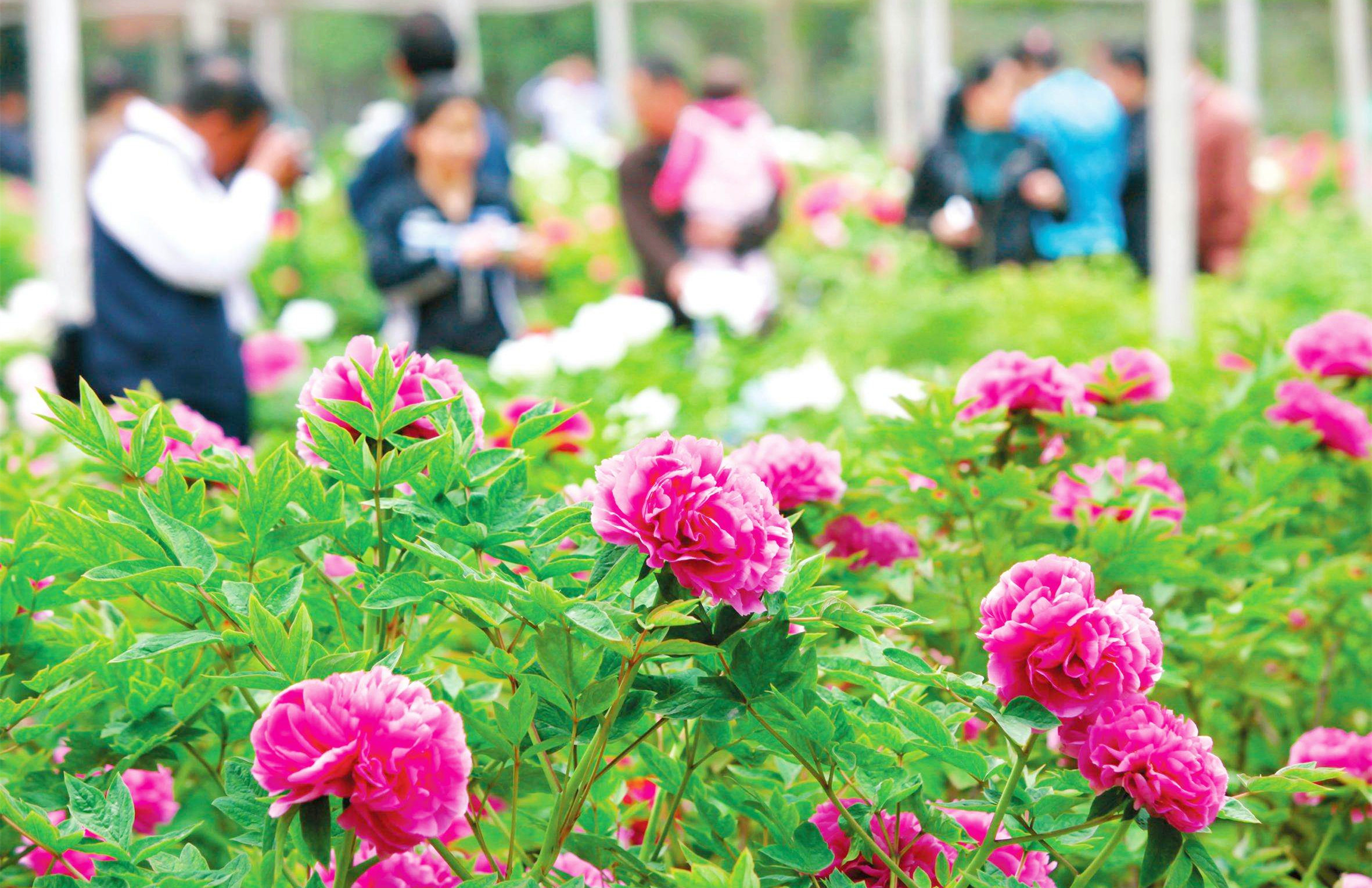 &#22810;&#23453;&#24179;&#21488;&#32593;&#39029;&#29256;&#30331;&#24405;&#20837;&#21475;